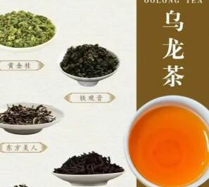 乌龙茶属于什么茶 乌龙茶是凉性还是温性 ​​​​​​​乌龙茶的正确冲泡方法