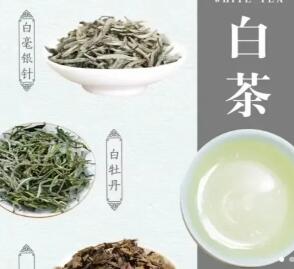 乌龙茶属于什么茶 乌龙茶是凉性还是温性 ​​​​​​​乌龙茶的正确冲泡方法